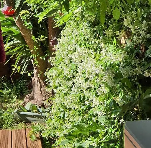 Le Square Pauline, 4 Prs, Jardin, 300m Апартаменти Антіб